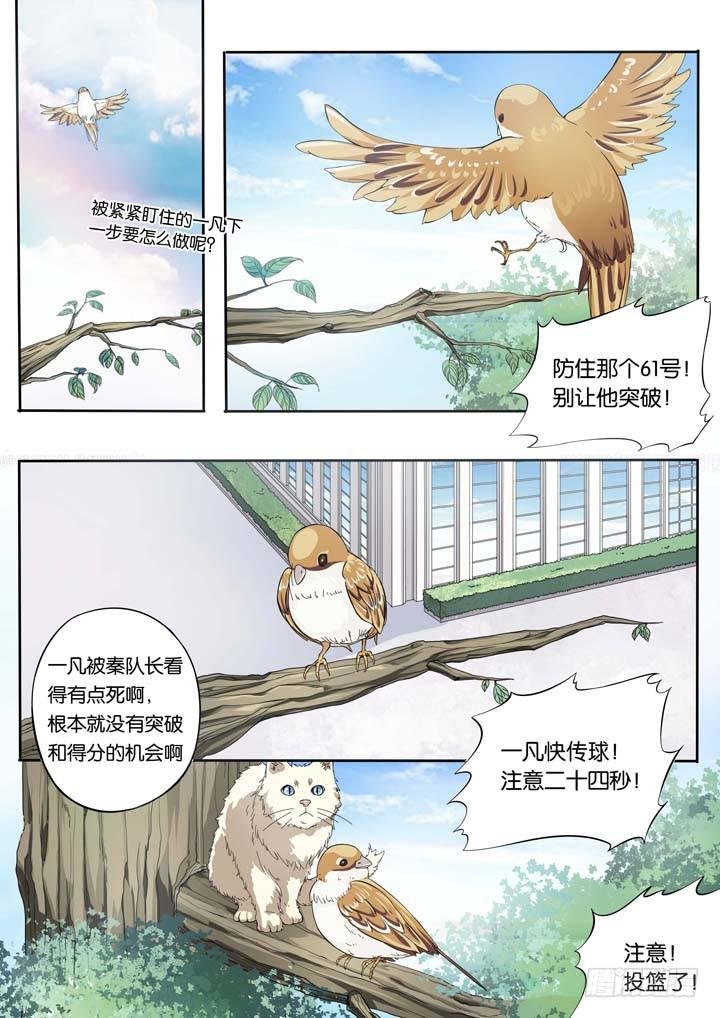 第二十四球：两个翅膀
