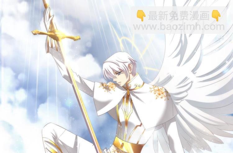 第48话 光辉晨星，沙利菲儿1