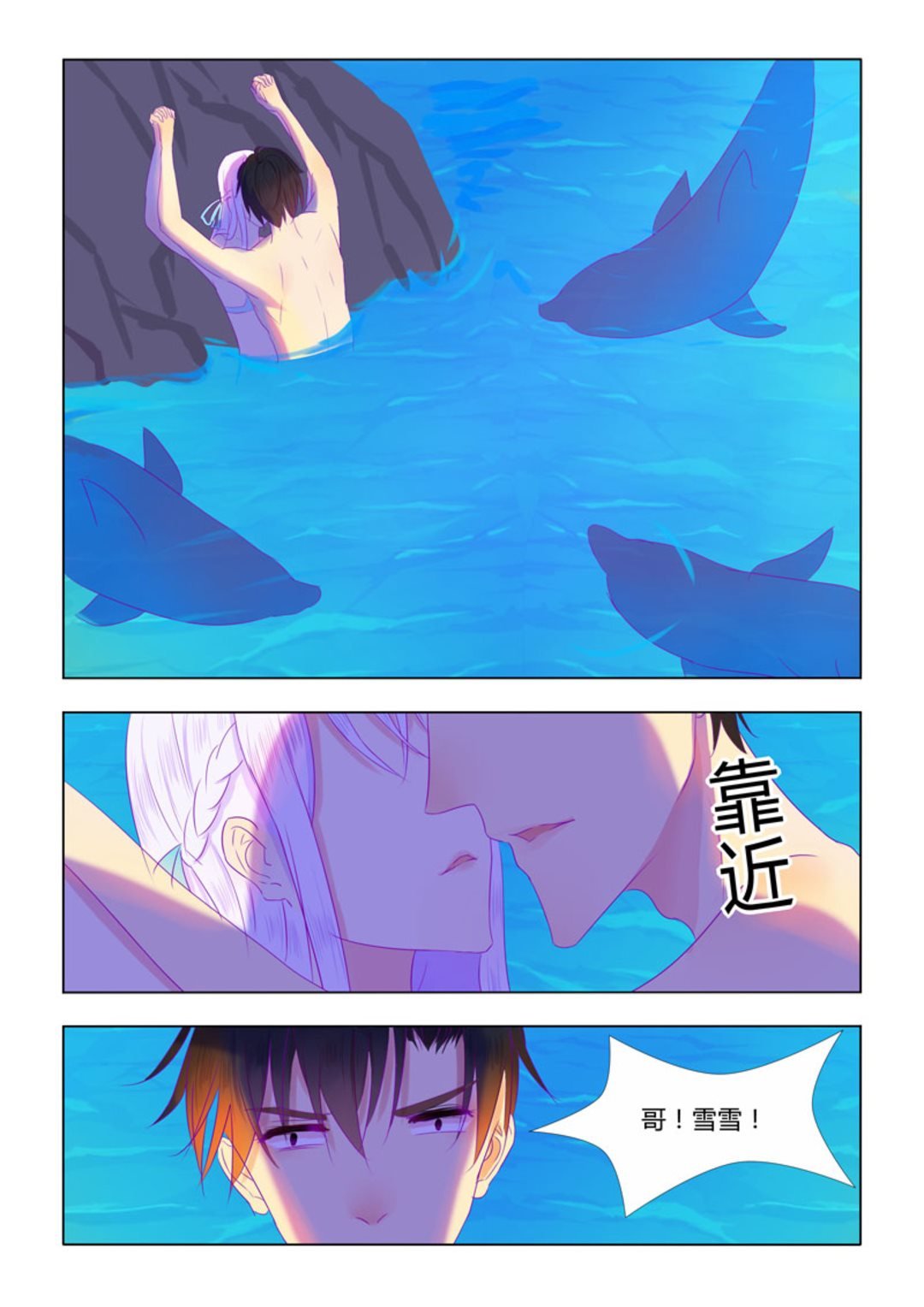 第28集(紫色蔷薇)