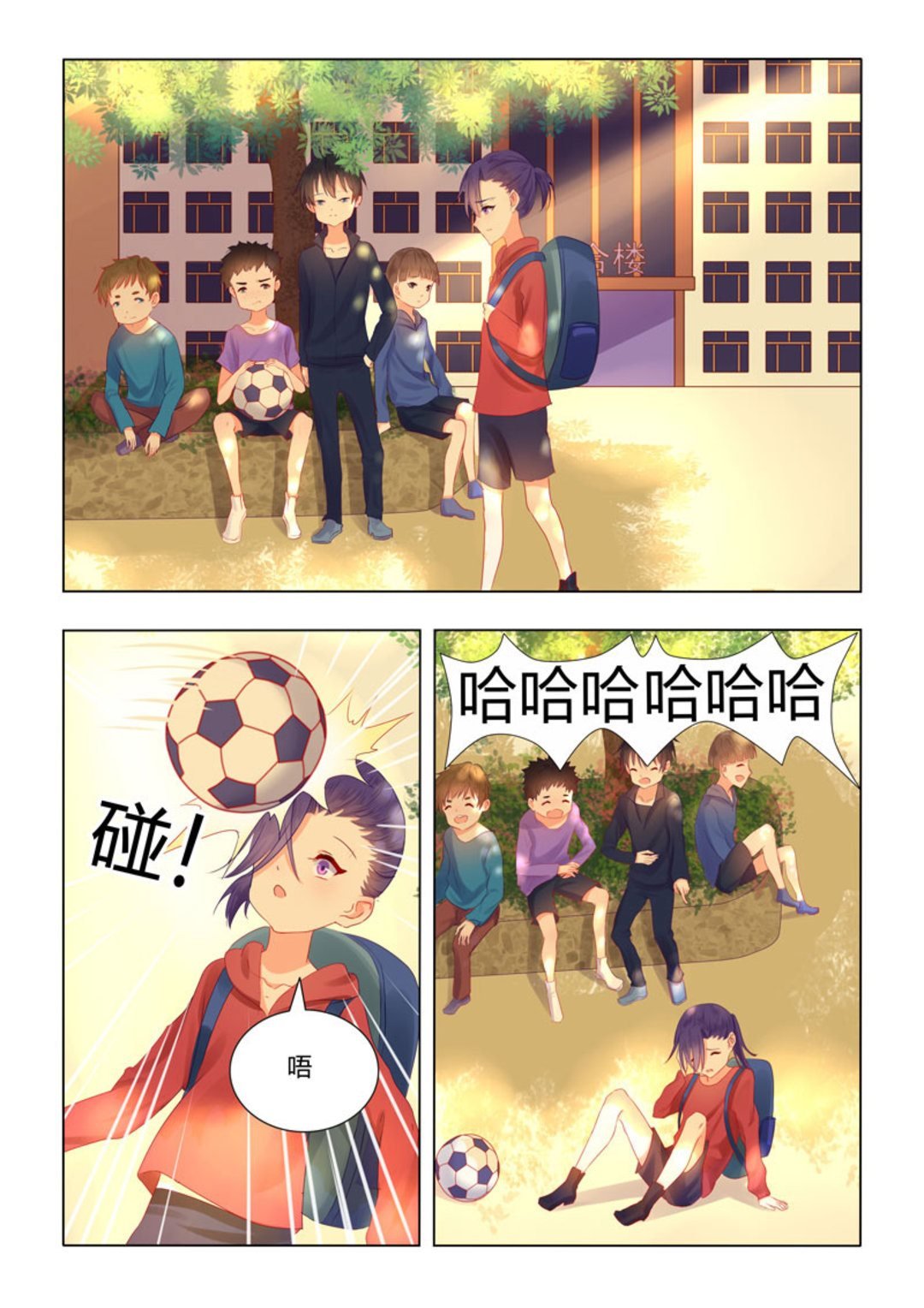 第41集(紫色蔷薇)