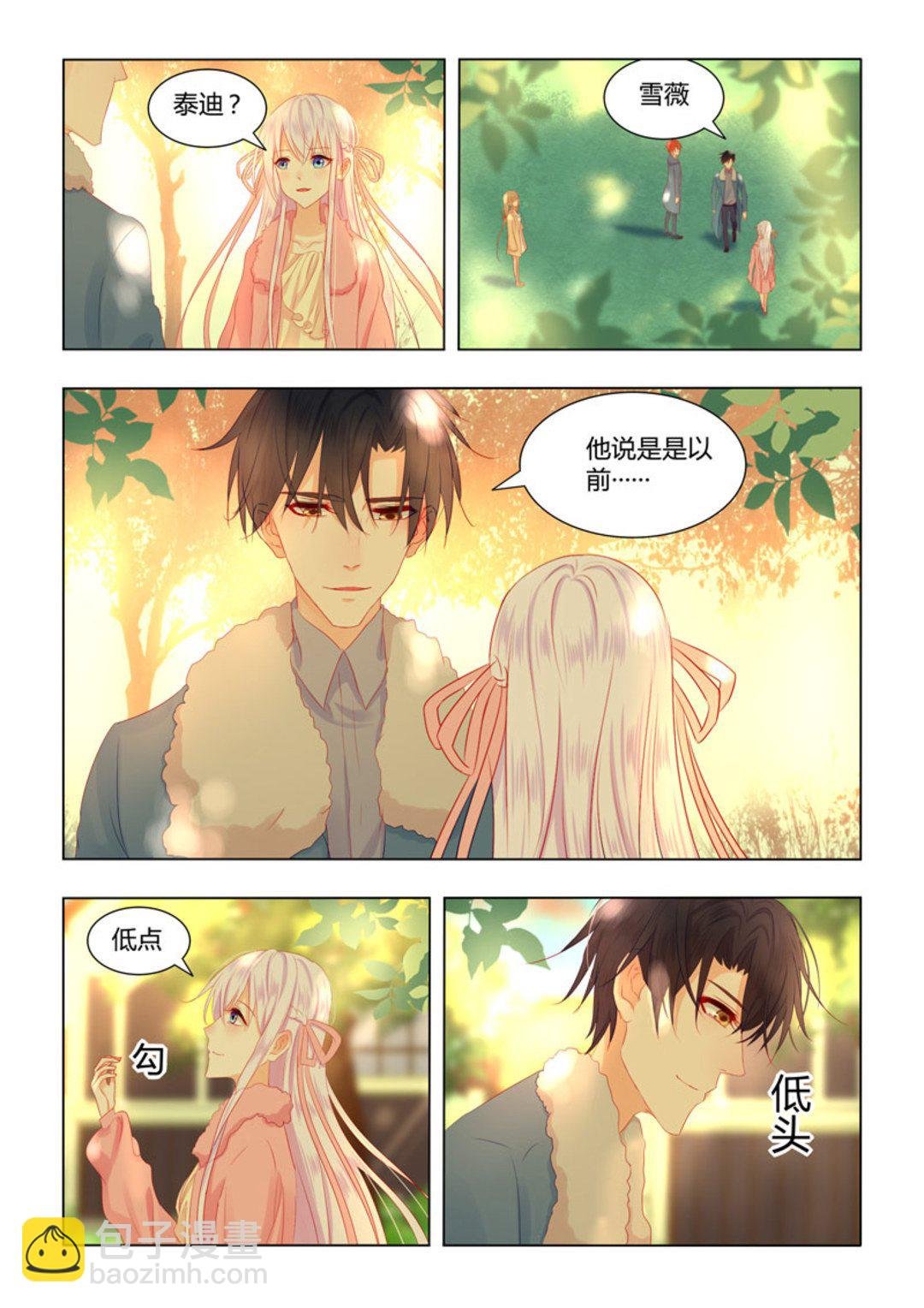 第48集(紫色蔷薇)