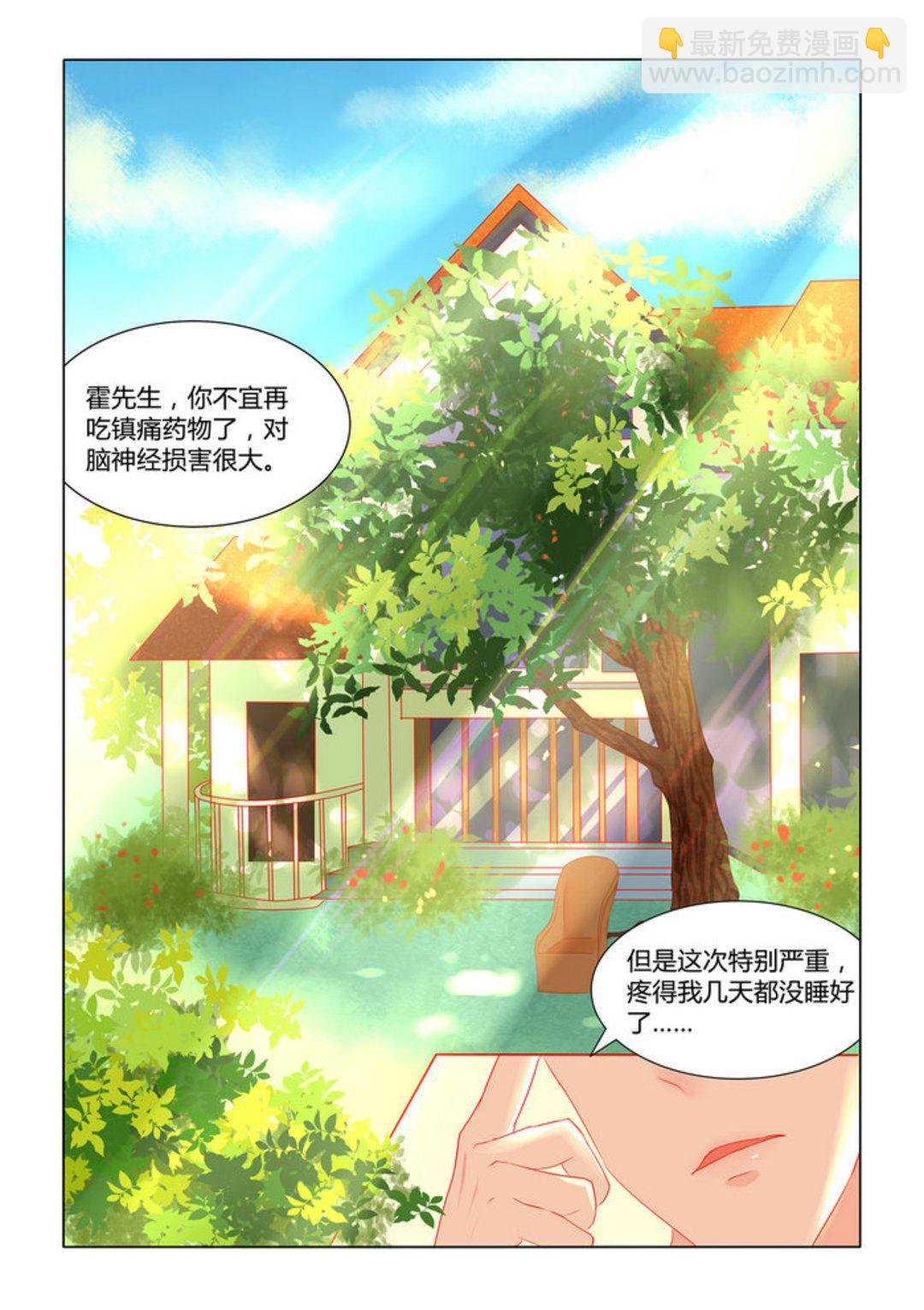 第5集(紫色蔷薇)