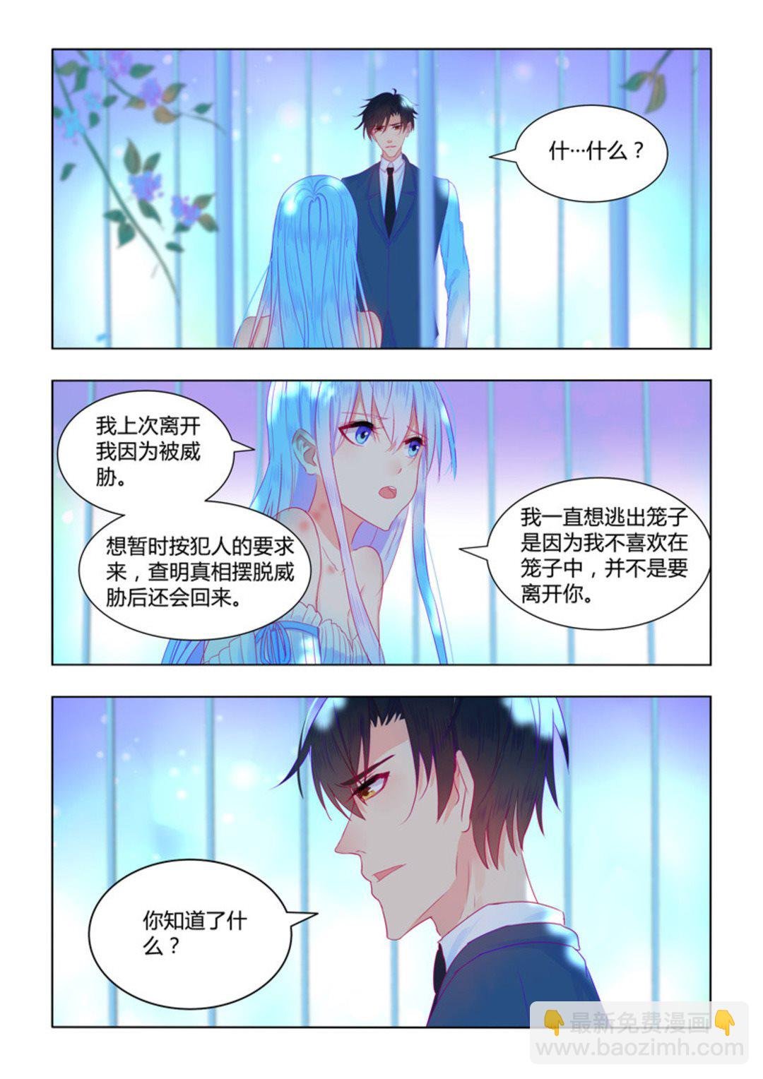 第55集(紫色蔷薇)