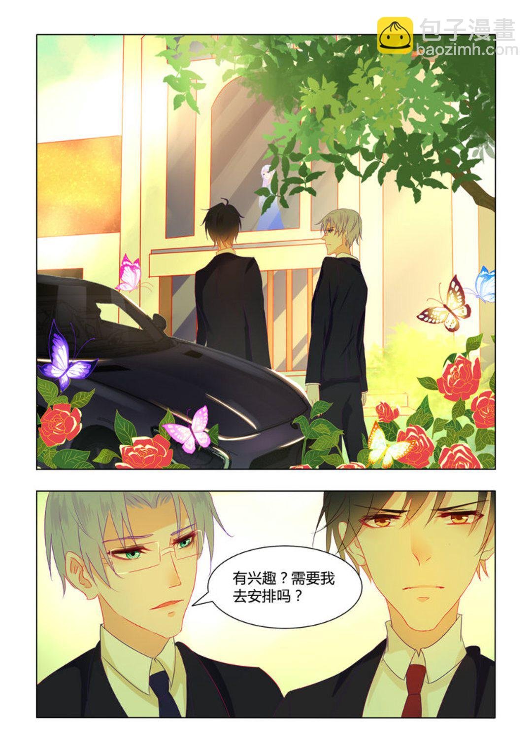 第8集(紫色蔷薇)