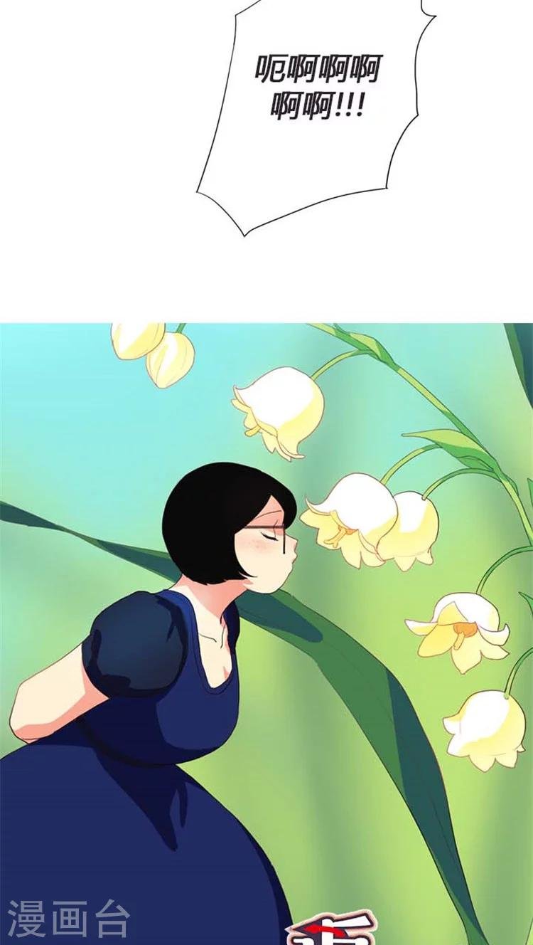 第113话 秘密计划