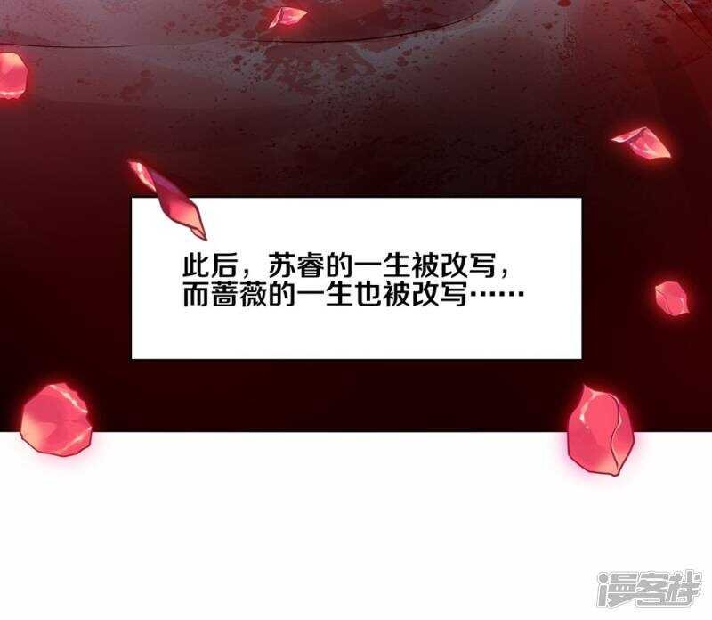 181 我选择做麻雀