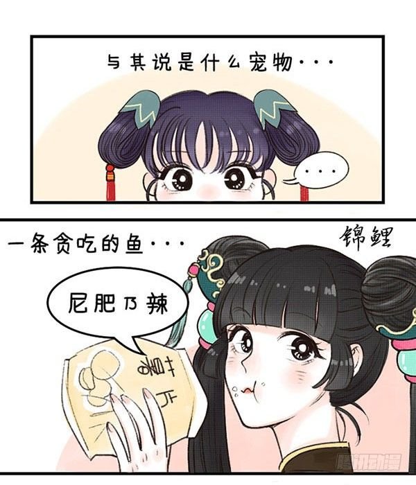 19家有萌宠