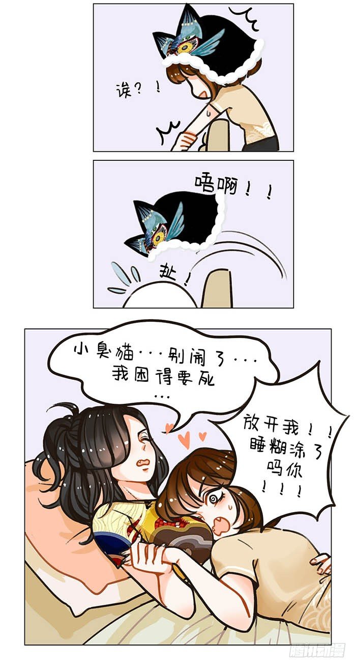 91大猫小猫