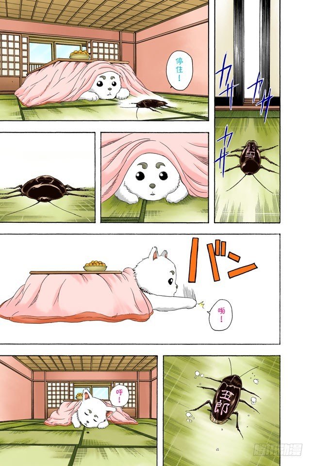 电视和报纸必须看仔细