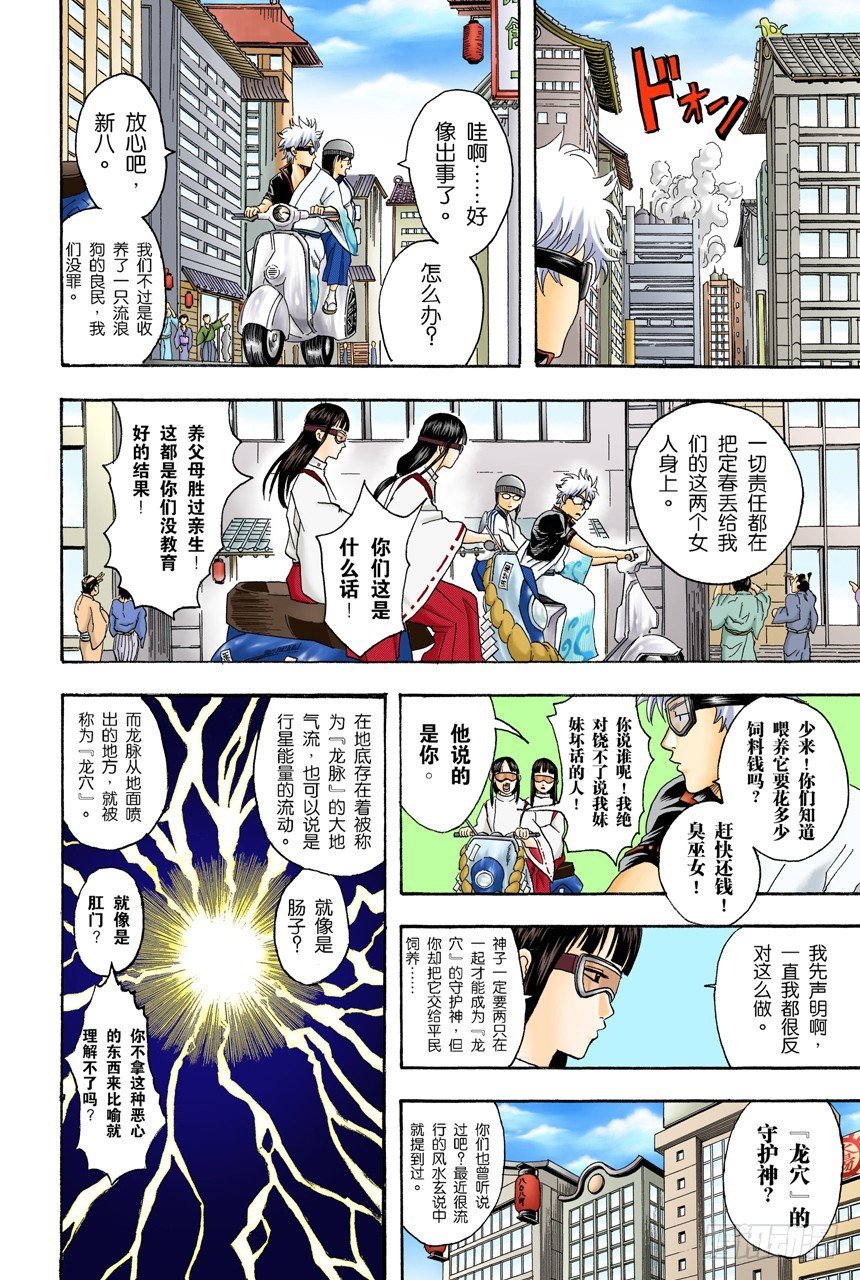 遛狗请保持适当的速度