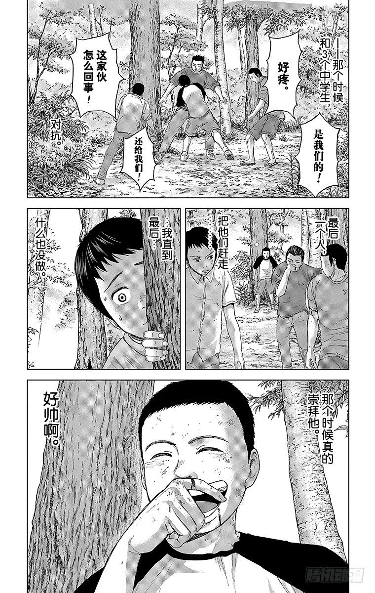 12课时 金龟子