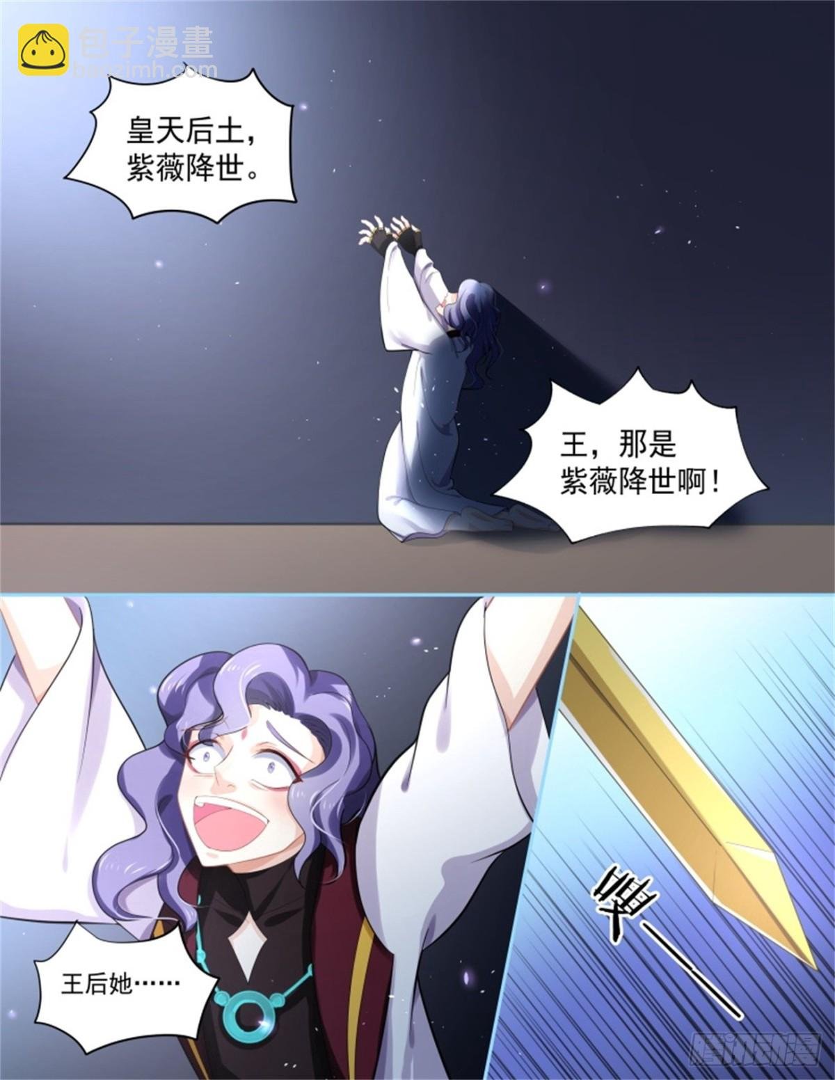 王妃巫珑·五