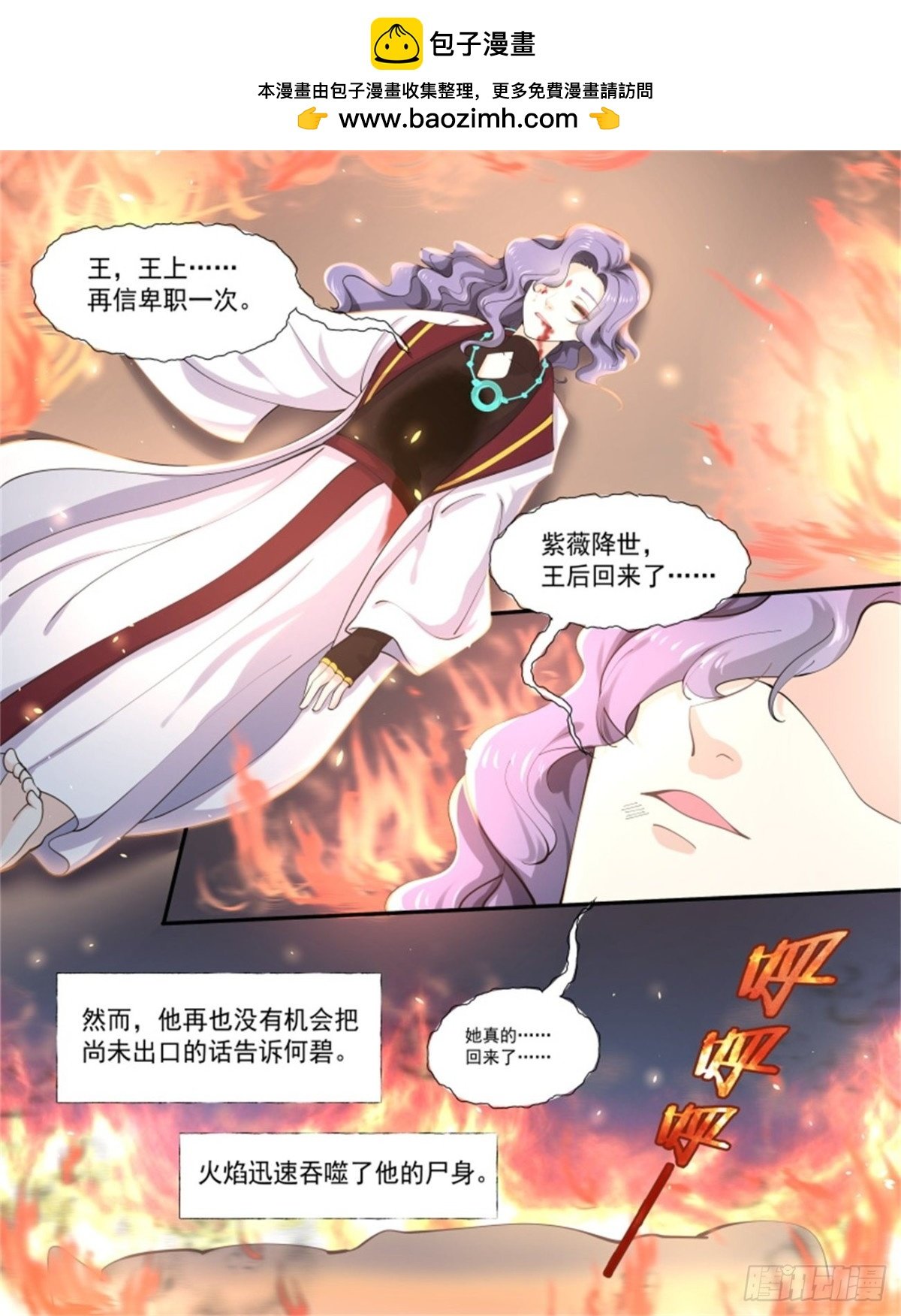 王妃巫珑·六