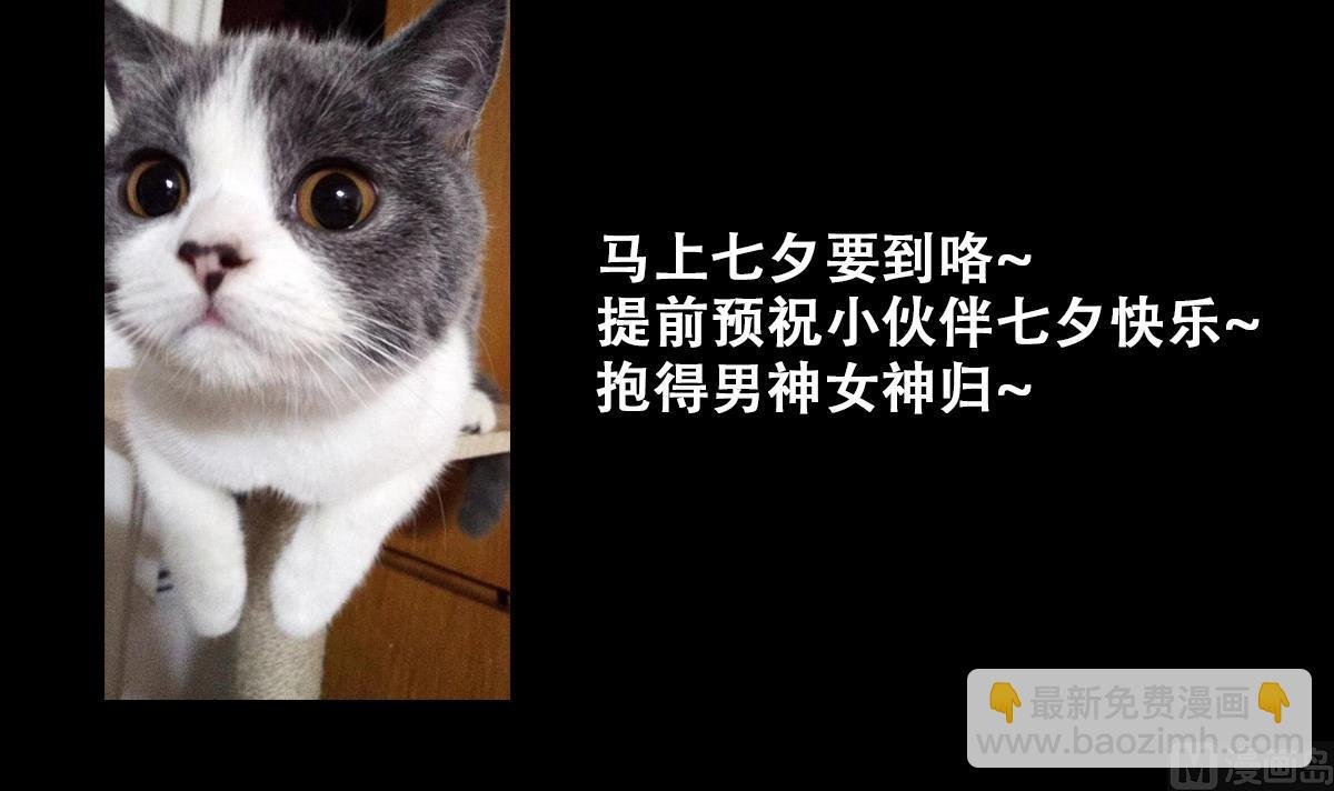 第219话 米圆动摇 3