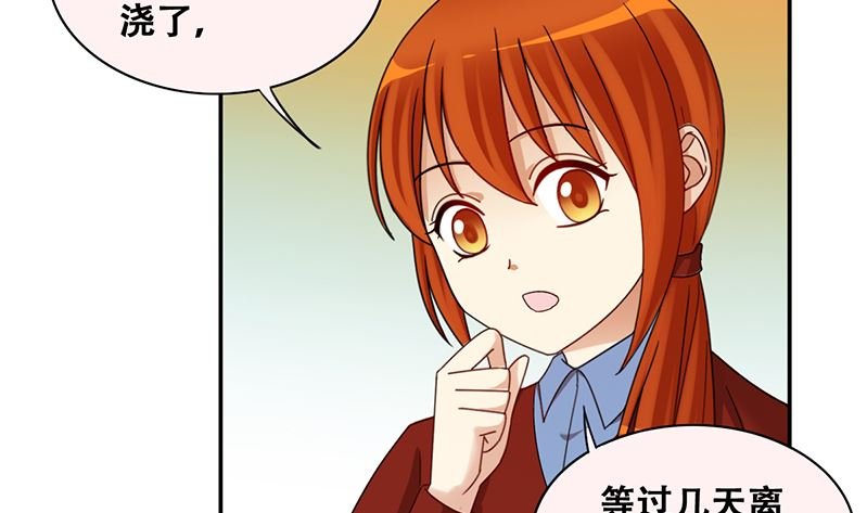 第309话 神秘财团 3