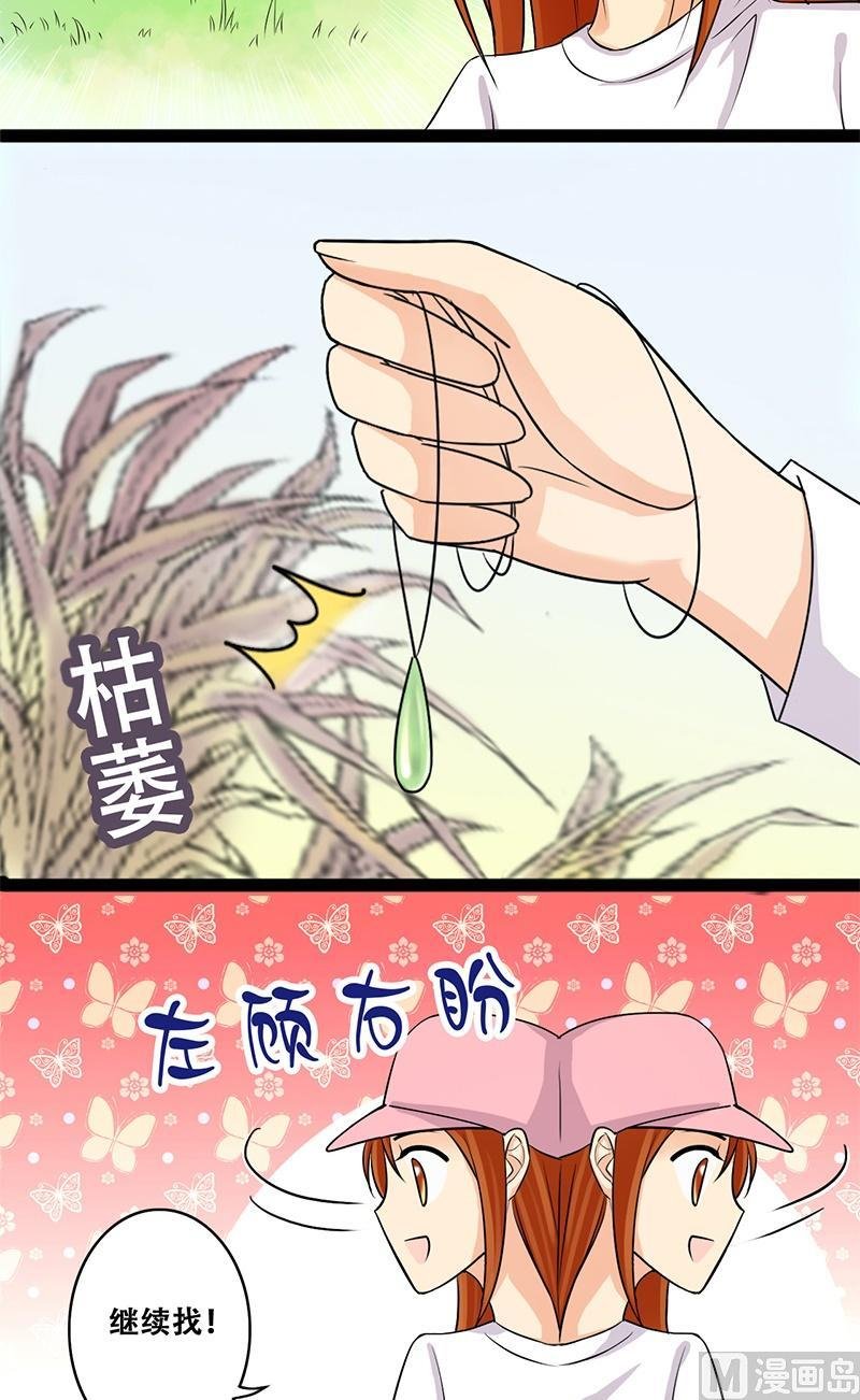 第51话植物精华 1