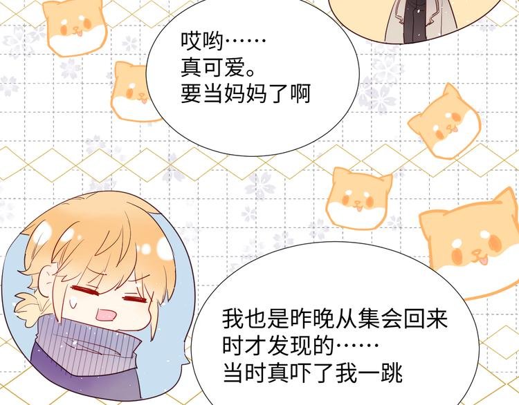 第11话 兔子妈妈