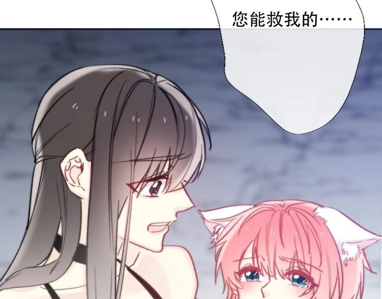 第5话 契约结成