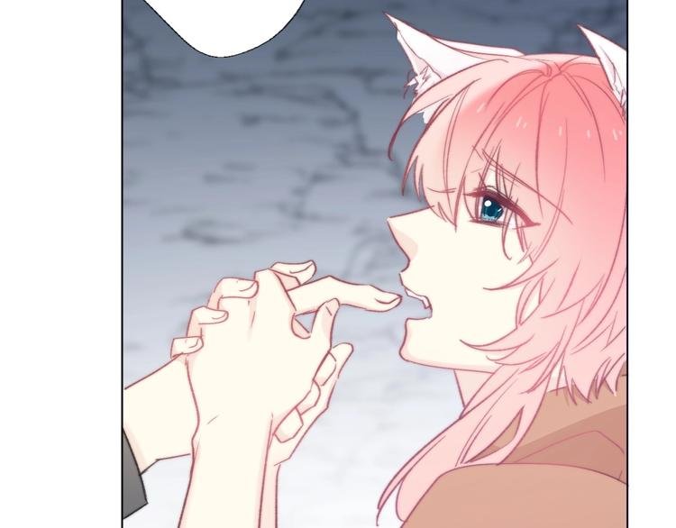 第5话 契约结成