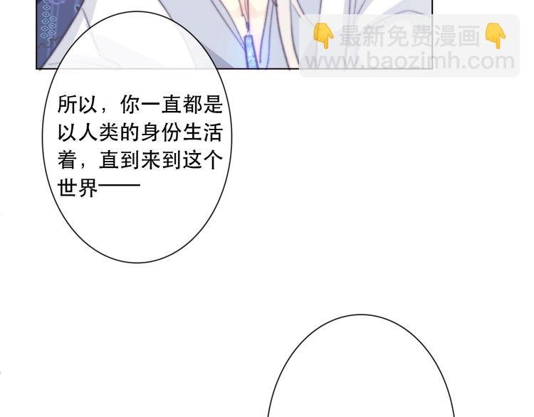 第13话 选择