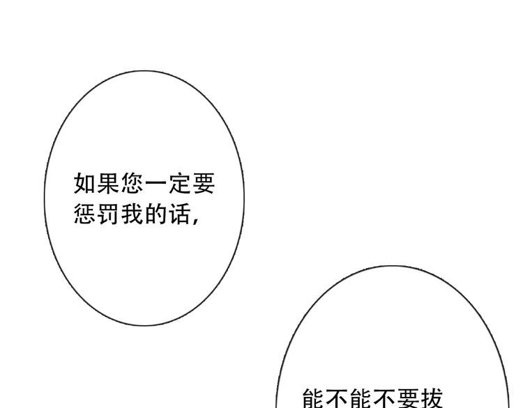 第6话 驯化野生奶狗