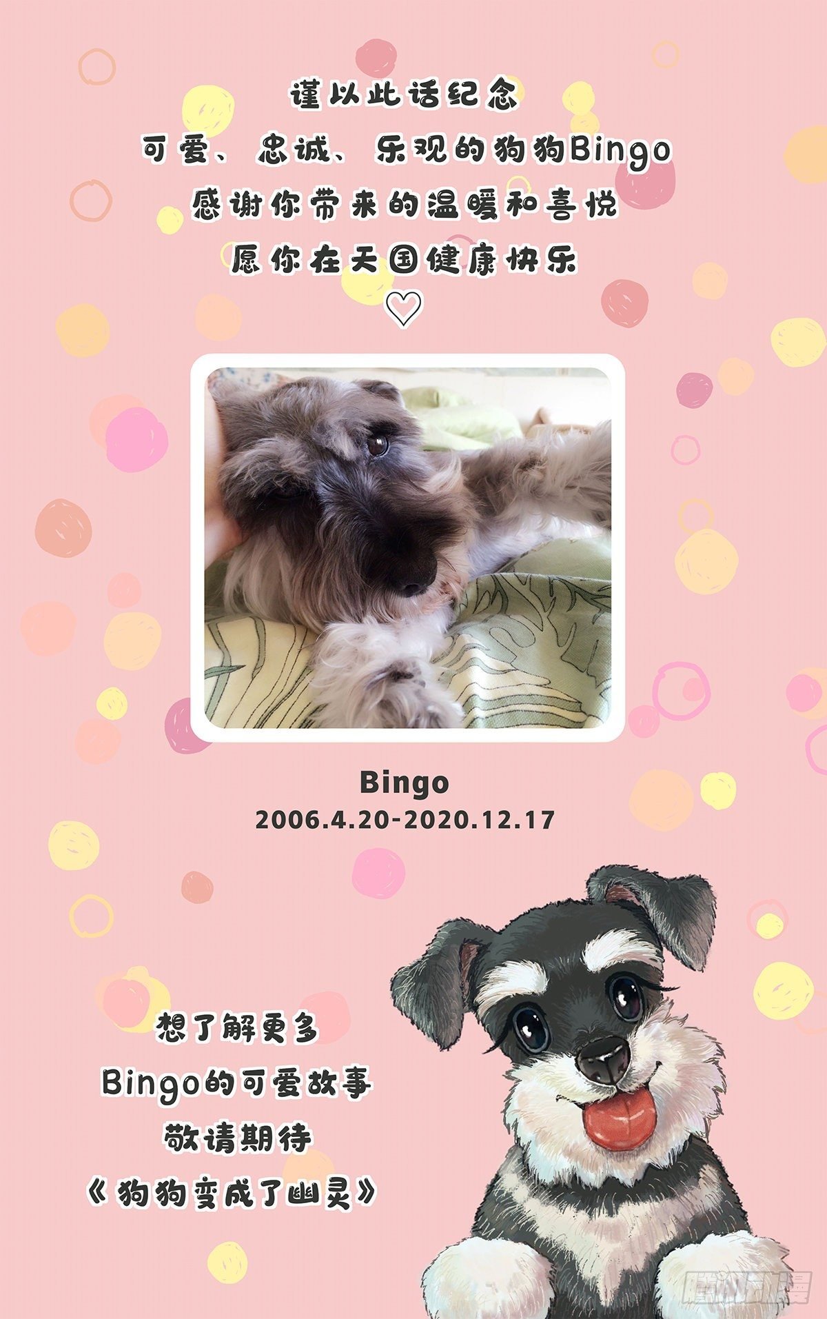 Bingo Go Go Go!