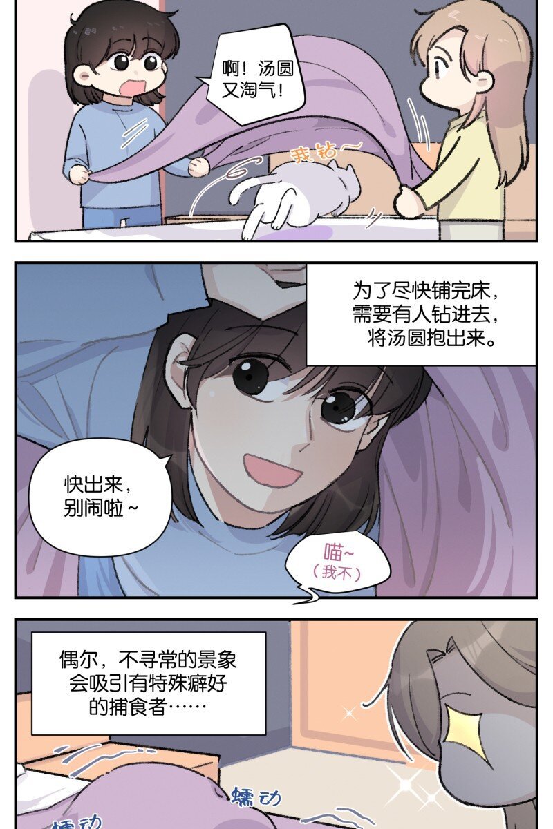 番外篇 同一屋檐下的（沙雕）日常