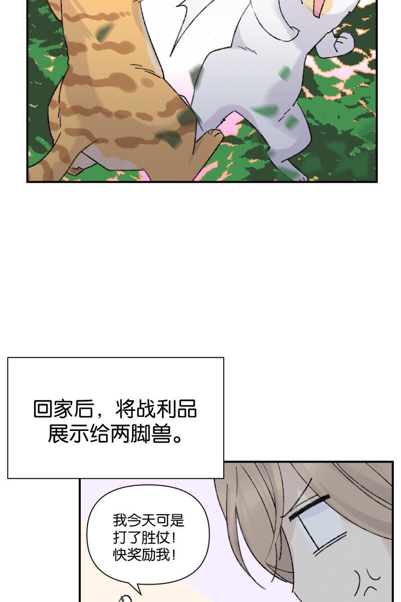 番外篇 同一屋檐下的（沙雕）日常