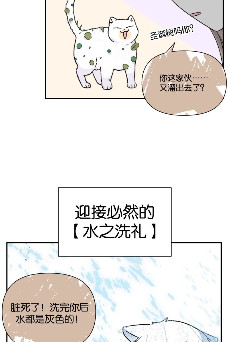 番外篇 同一屋檐下的（沙雕）日常