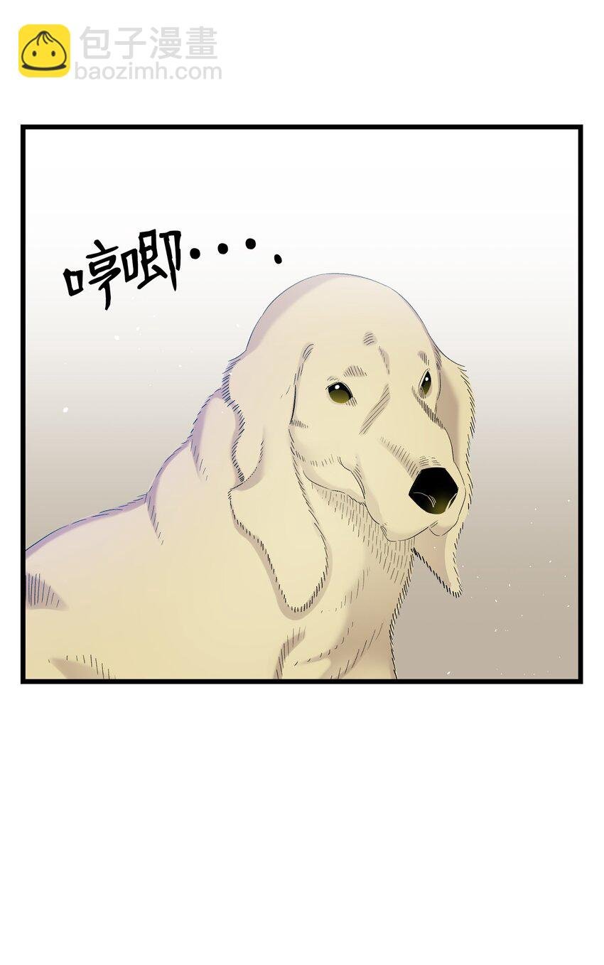 116 遛狗