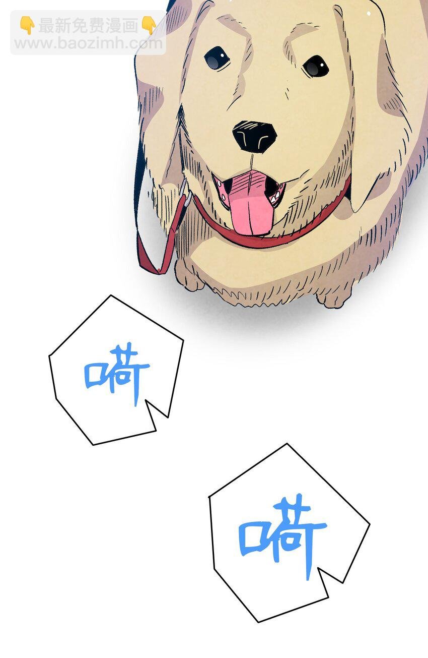 116 遛狗