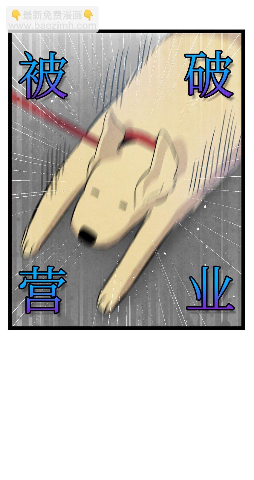 116 遛狗
