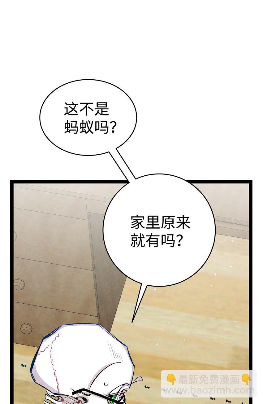118 虫子风波