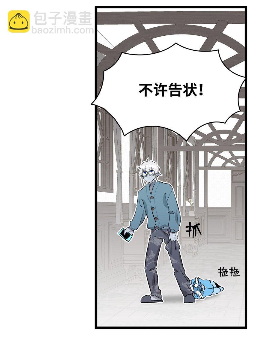 144 蝴蝶的身世