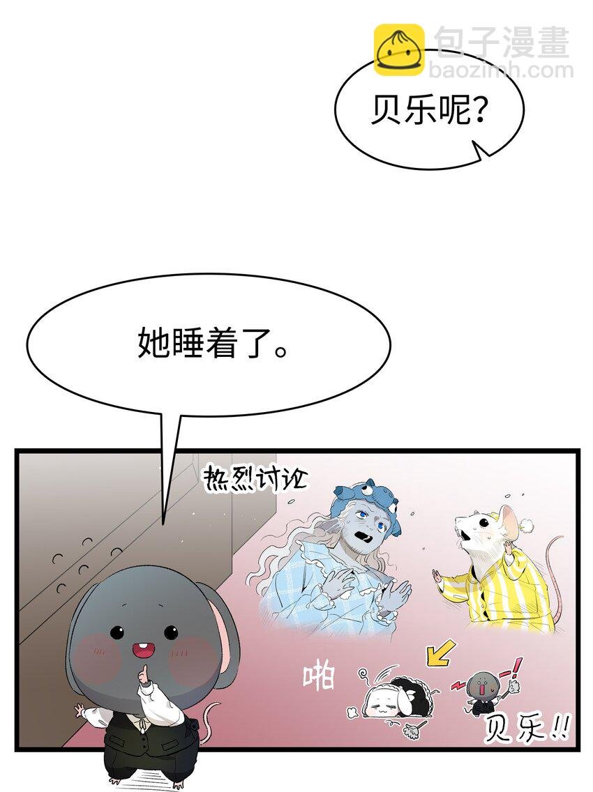 144 蝴蝶的身世