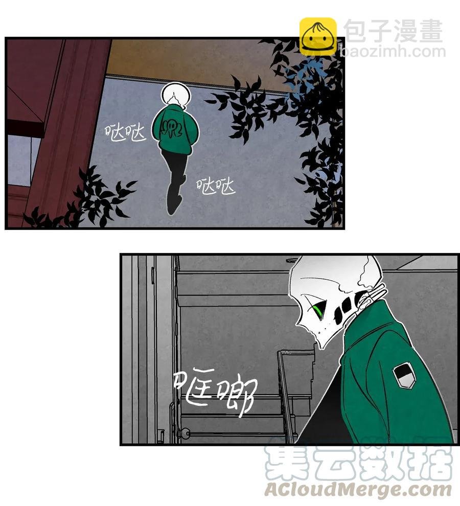 16 无毛猪