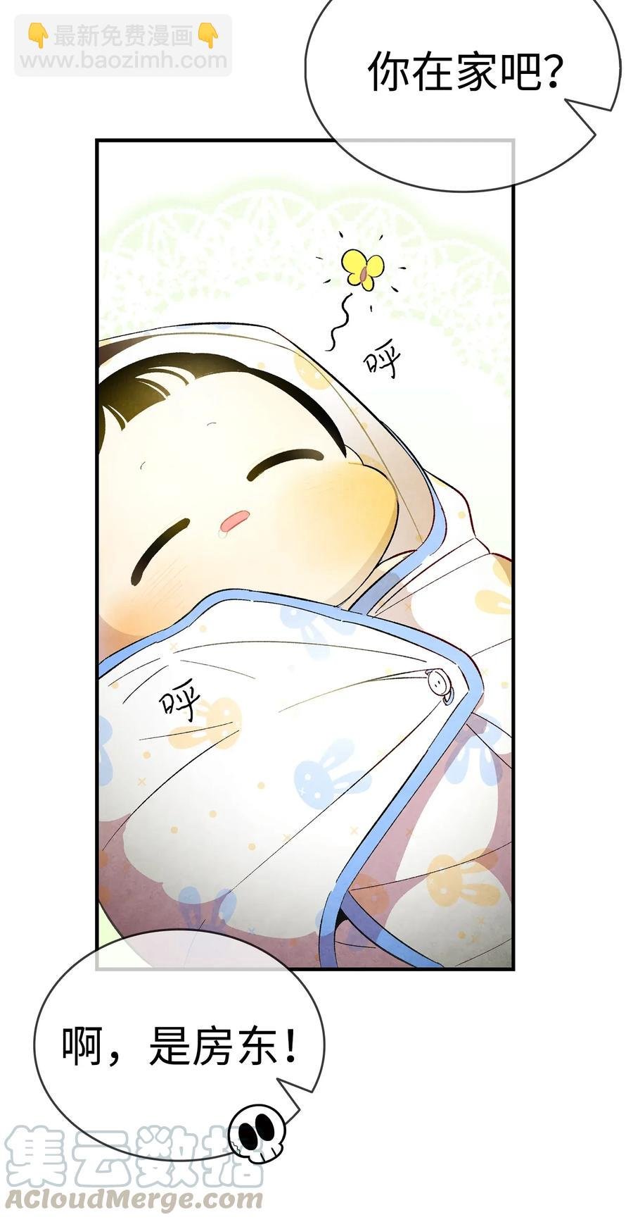 16 无毛猪