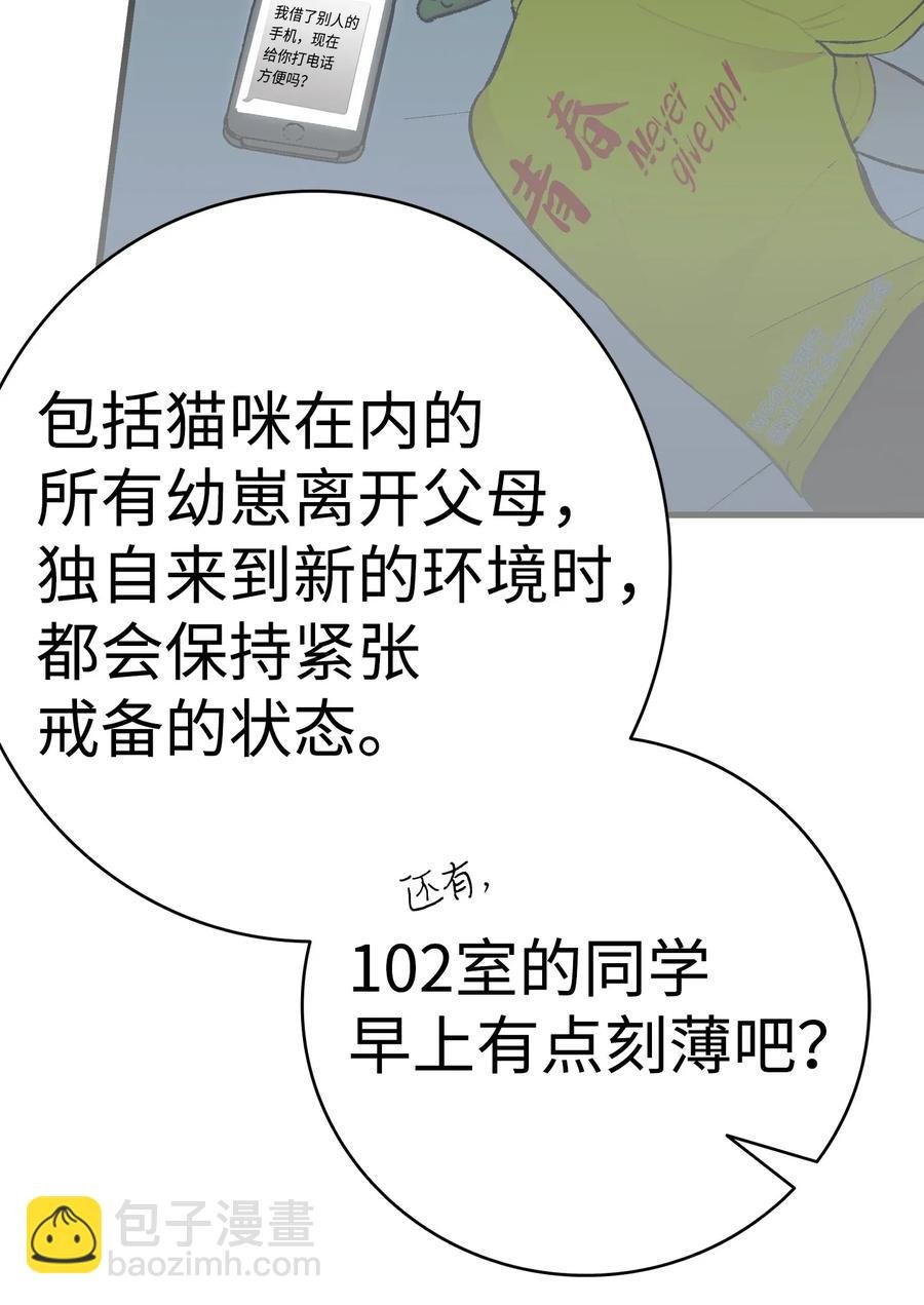 16 无毛猪