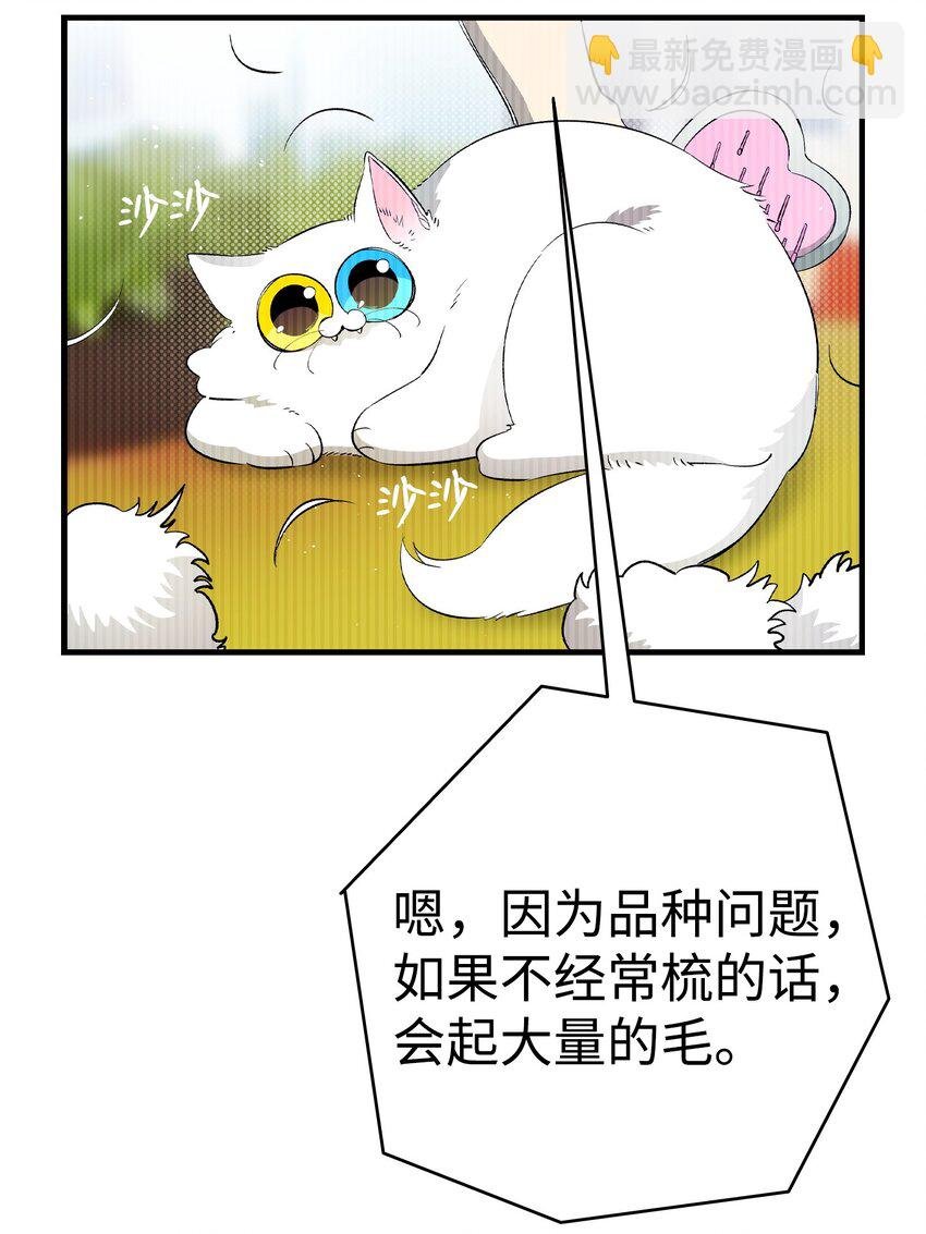 162 特别的外传