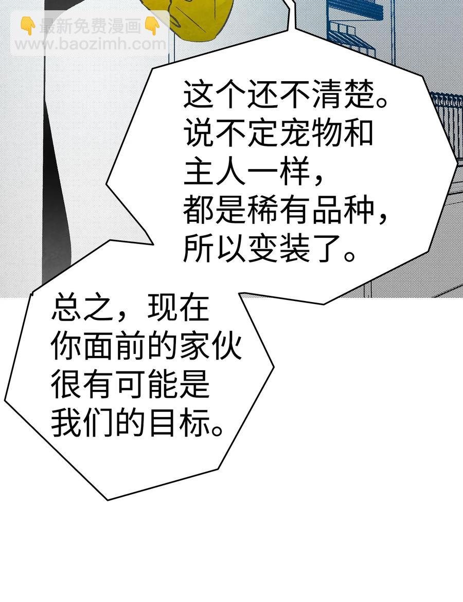 19 和人类共存的那些年