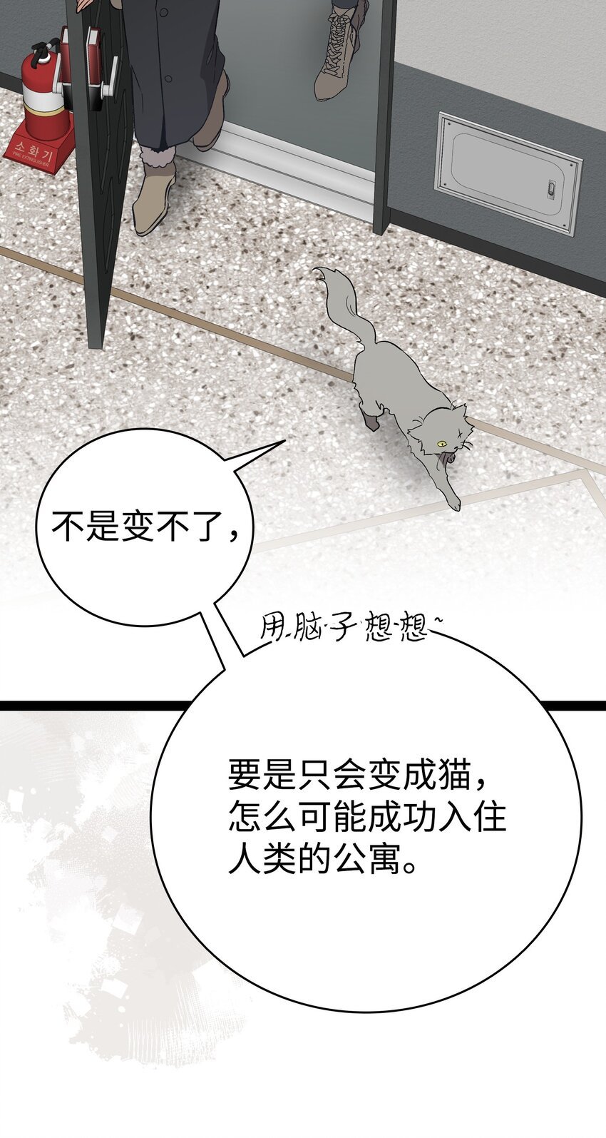 214 玩偶博物馆