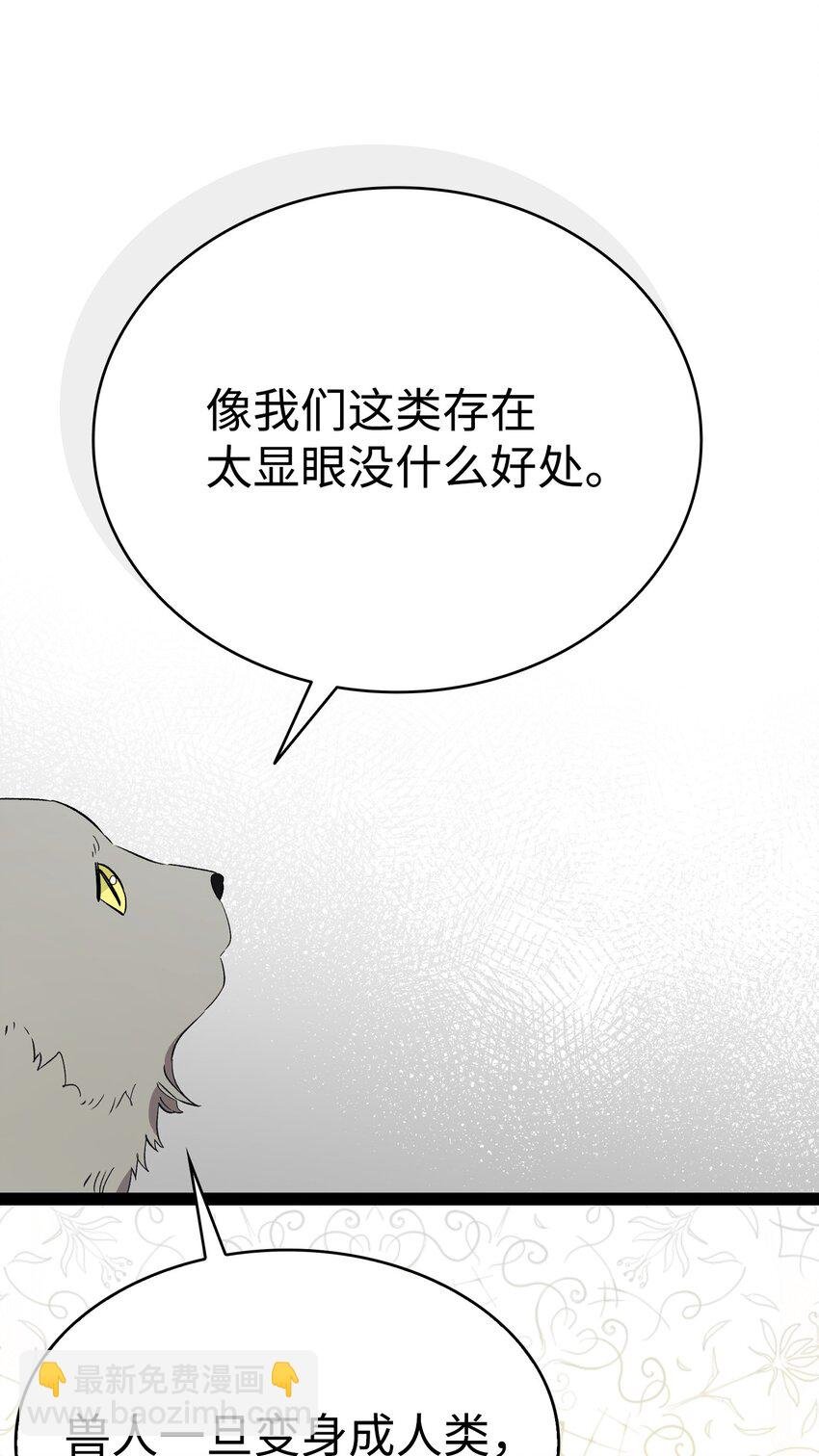 214 玩偶博物馆
