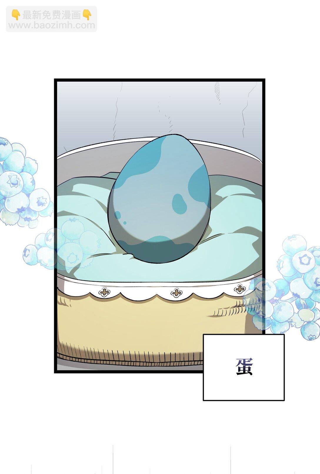 238 开导