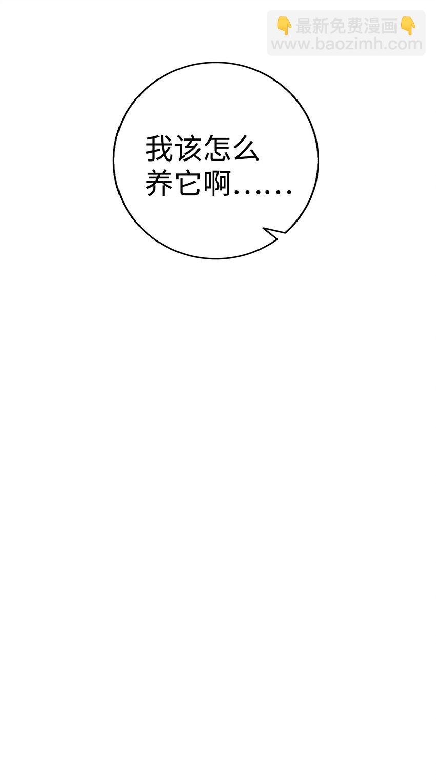 04 蝴蝶1