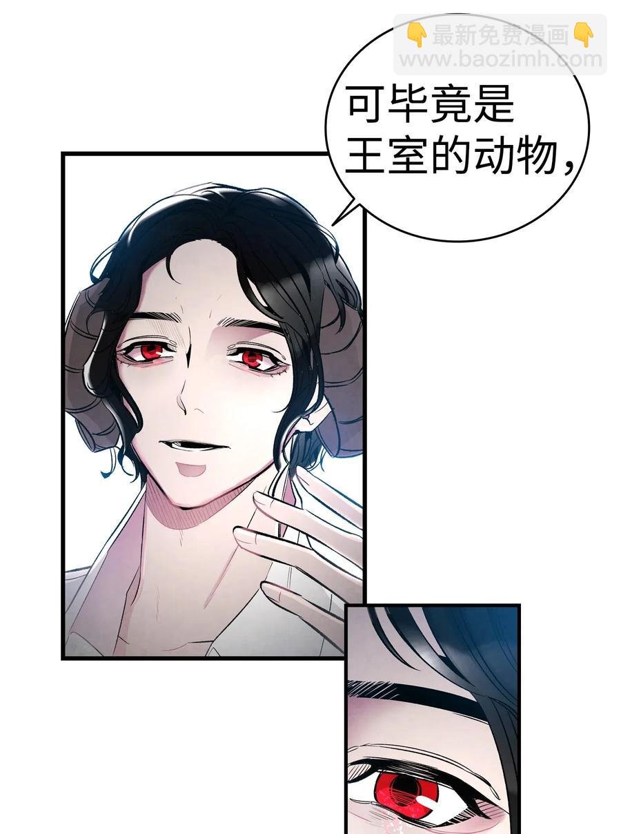 43 和蝴蝶回家
