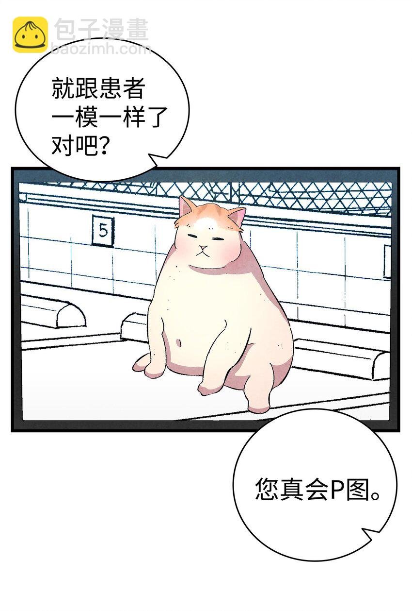 06 蝴蝶3