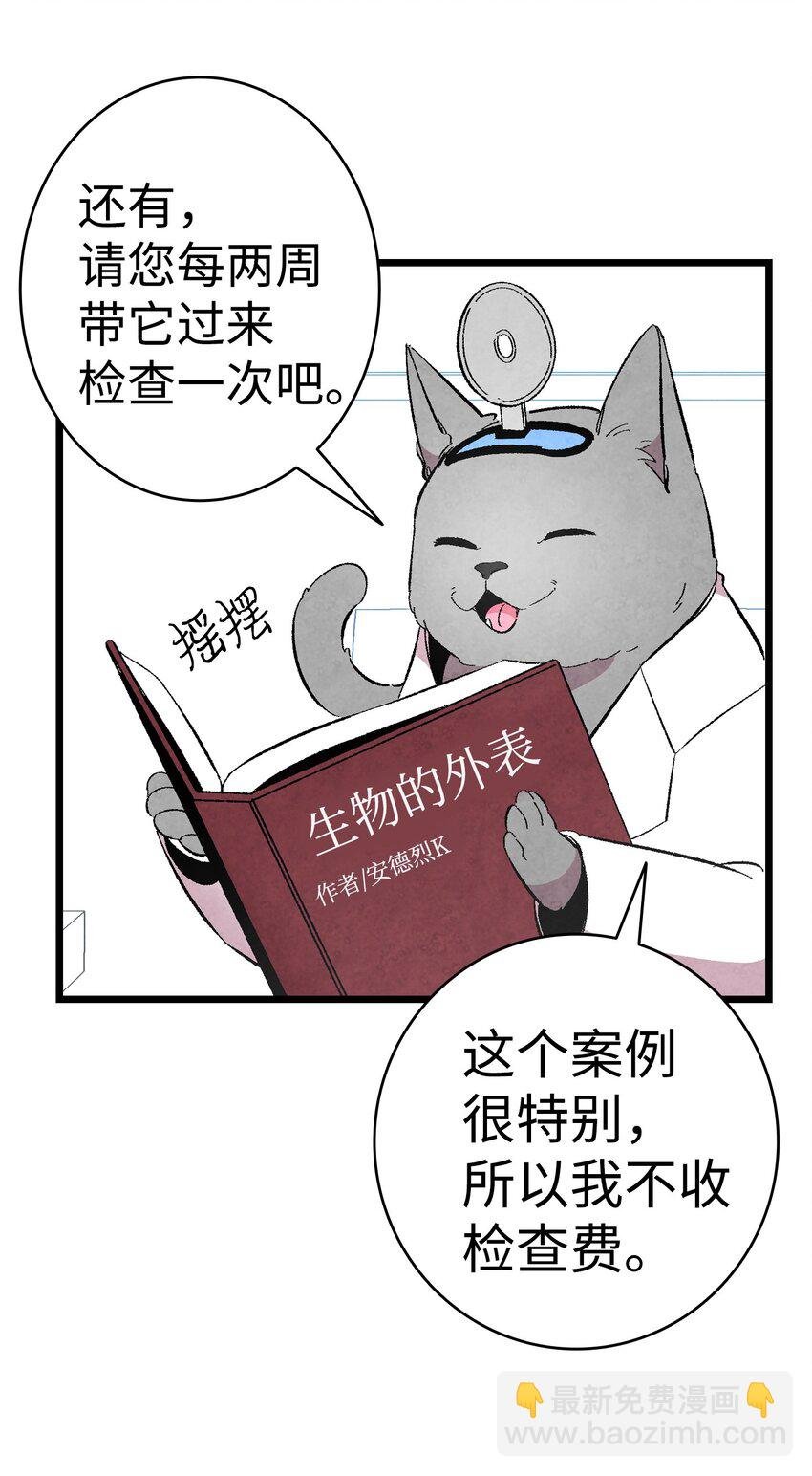06 蝴蝶3