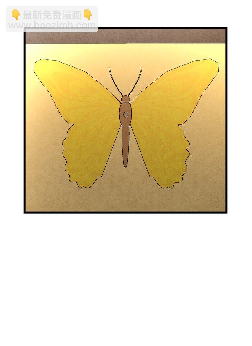 06 蝴蝶3