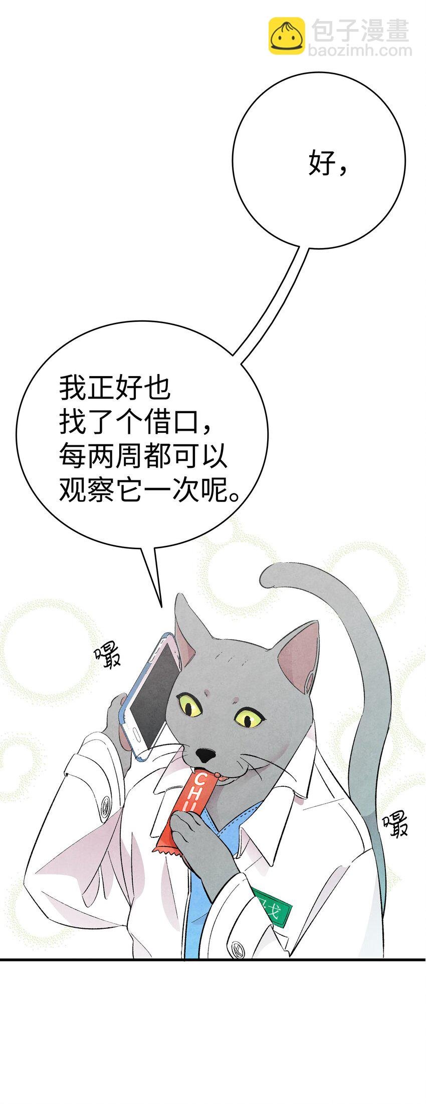 07 志愿活动