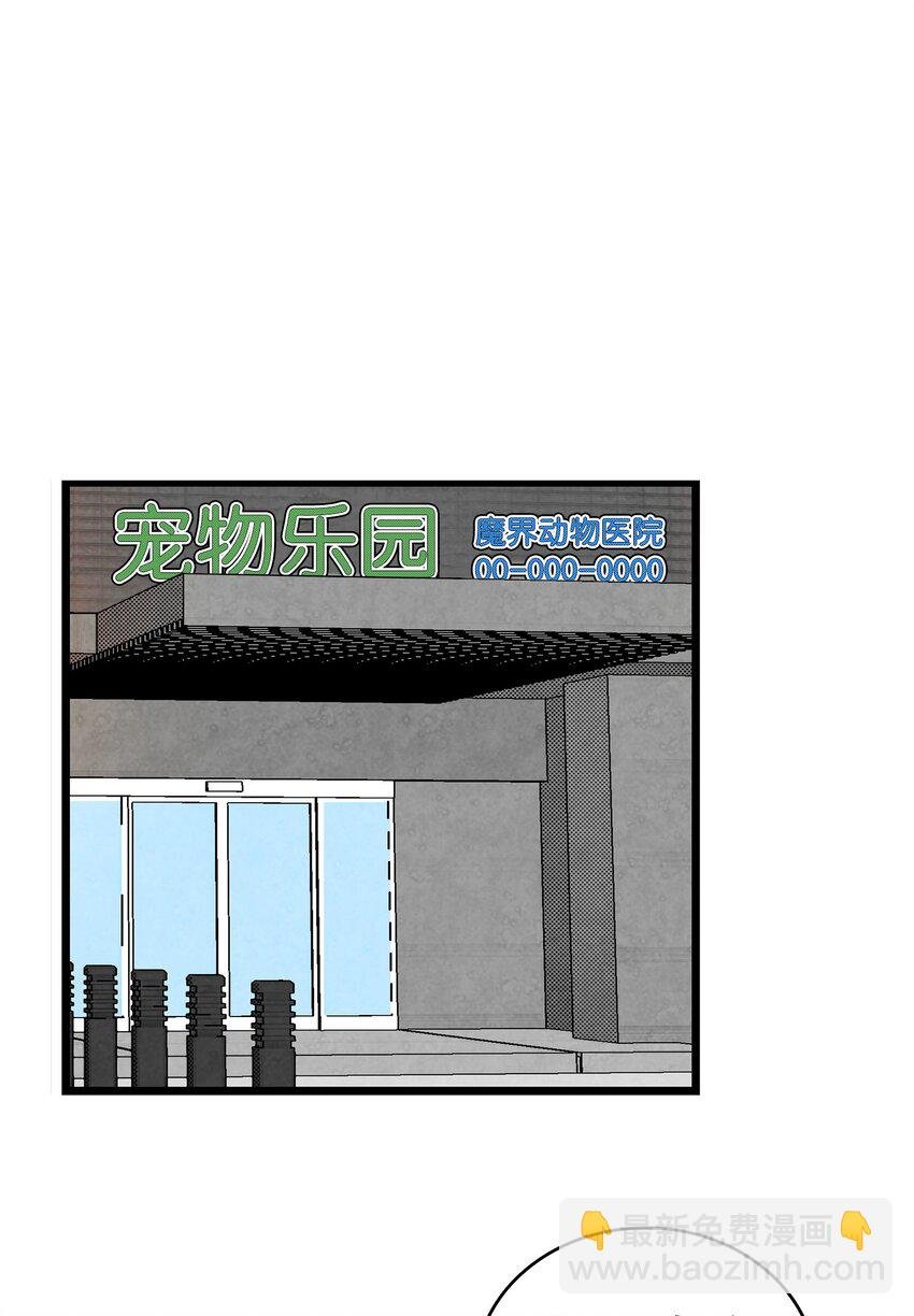 08 连衣裙